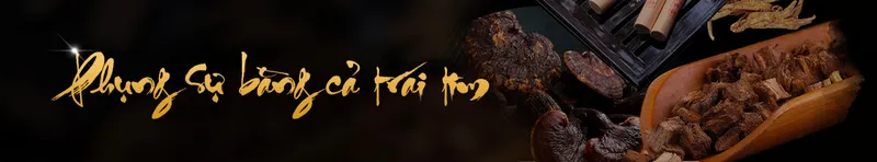 Sản phẩm 13 — Công Ty TNHH Đầu Tư Và Sản Xuất Tâm Việt — MST 0106831452