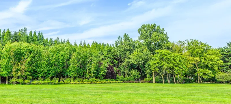 Sản phẩm beautiful park — Công Ty TNHH Thiên Vương Paper — MST 0106837694