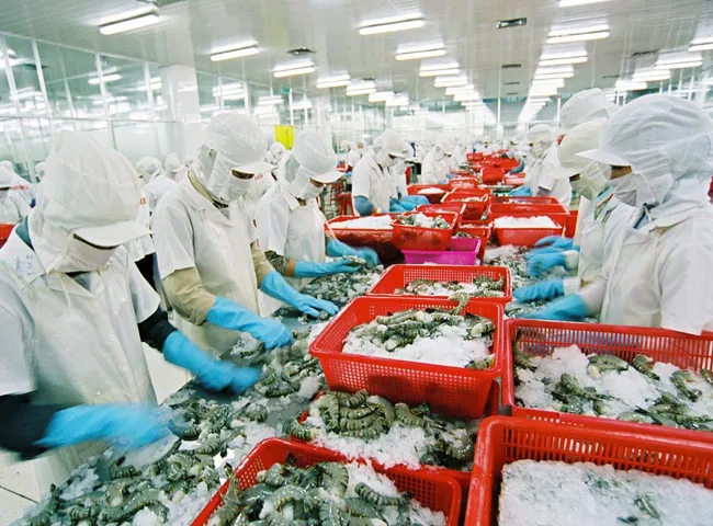 Sản phẩm 24 — Xử Lý Nước Thải Kỹ Thuật Việt - Công Ty CP Đầu Tư Kỹ Thuật Việt — MST 0106842976