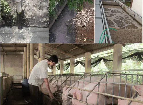 Sản phẩm 57 — Xử Lý Nước Thải Kỹ Thuật Việt - Công Ty CP Đầu Tư Kỹ Thuật Việt — MST 0106842976