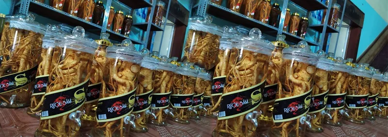 Sản phẩm 000 — Công Ty TNHH Đầu Tư Nông Nghiệp & Dược Liệu S555 — MST 0106847156