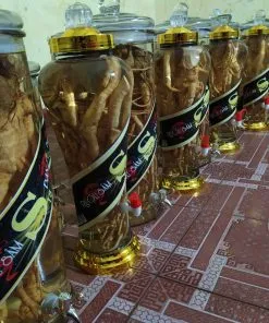 Sản phẩm ruou_dinh_lang 31 247x296 — Công Ty TNHH Đầu Tư Nông Nghiệp & Dược Liệu S555 — MST 0106847156