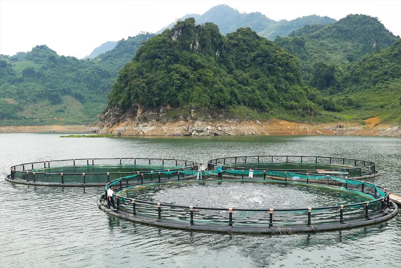 Sản phẩm 714 14 45 43 — Công Ty Thương Mại Và Xây Dựng CSC Thăng Long — MST 0106850705