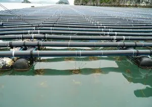 Sản phẩm ong hdpe chiu luc 3 300x210 1 — Công Ty Thương Mại Và Xây Dựng CSC Thăng Long — MST 0106850705