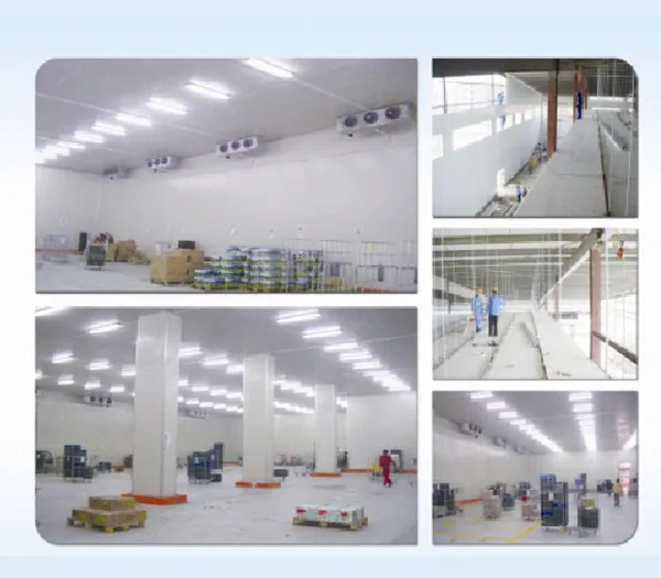 Sản phẩm Thi cong thiet ke kho lanh — Kho Lạnh Công Nghiệp Tín Hưng - Công Ty Cổ Phần Cơ Điện Lạnh Và Xây Dựng Tín
Hưng — MST 0106855453