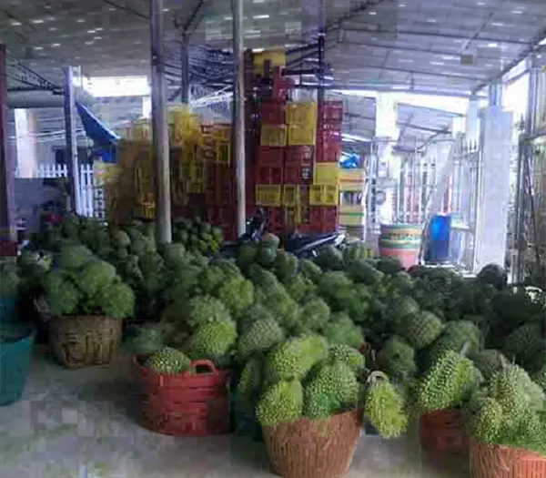 Sản phẩm kho lanh bao quan sau rieng — Kho Lạnh Công Nghiệp Tín Hưng - Công Ty Cổ Phần Cơ Điện Lạnh Và Xây Dựng Tín
Hưng — MST 0106855453