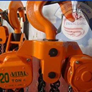 Sản phẩm palang vital 20 tấn 300x300 — Công Ty CP Phát Triển Máy Công Nghiệp Thăng Long — MST 0106861129