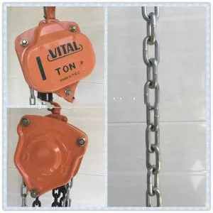 Sản phẩm palang xich vital 300x300 — Công Ty CP Phát Triển Máy Công Nghiệp Thăng Long — MST 0106861129
