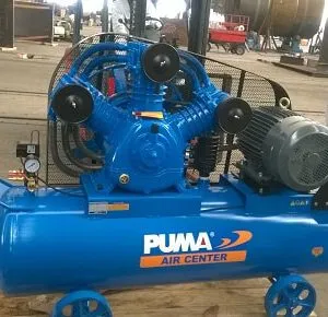 Sản phẩm Máy nén khí Puma 20HP 300x290 — Công Ty CP Phát Triển Máy Công Nghiệp Thăng Long — MST 0106861129