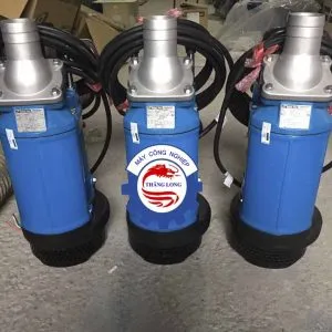Sản phẩm Tsurumi KTZ 21.5 300x300 — Công Ty CP Phát Triển Máy Công Nghiệp Thăng Long — MST 0106861129