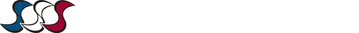 Logo Công Ty TNHH SANWA SEIKI Việt Nam