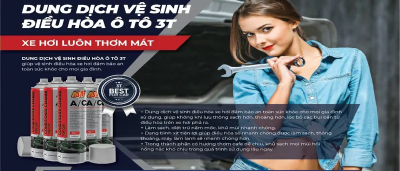 Sản phẩm dung dich ve sinh dieu hoa o to 3t ac — Công Ty TNHH TM Đầu Tư Và DV Tân Tiến Thành — MST 0106883683