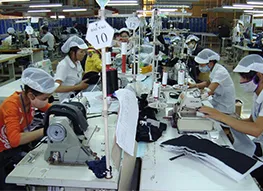 Sản phẩm 178 — Công Ty Cổ Phần Trần Việt Nam — MST 0106905714