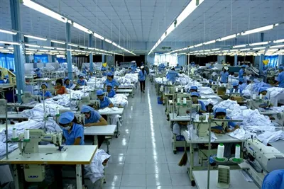 Sản phẩm 185 — Công Ty Cổ Phần Trần Việt Nam — MST 0106905714