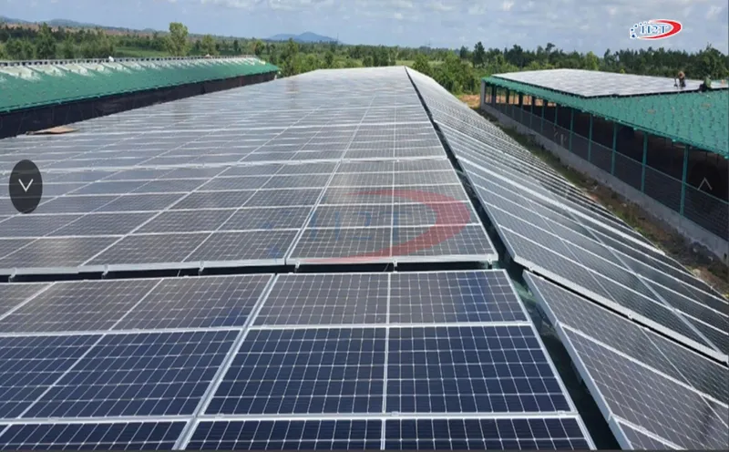 Sản phẩm Sunny quang tri — Công Ty Cổ Phần Thương Mại H2T Hà Nội — MST 0106910295
