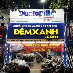 Sản phẩm demxanh giai phong — Đệm Xanh - Công Ty TNHH Sản Xuất Và Đầu Tư Minh Phong — MST 0106928824