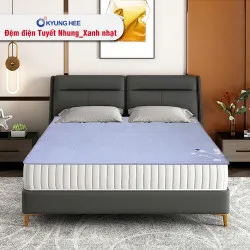 Sản phẩm 250_10023_z7099089233903_7b24e542d6de91dd6696c0ec622c4480 — Đệm Xanh - Công Ty TNHH Sản Xuất Và Đầu Tư Minh Phong — MST 0106928824