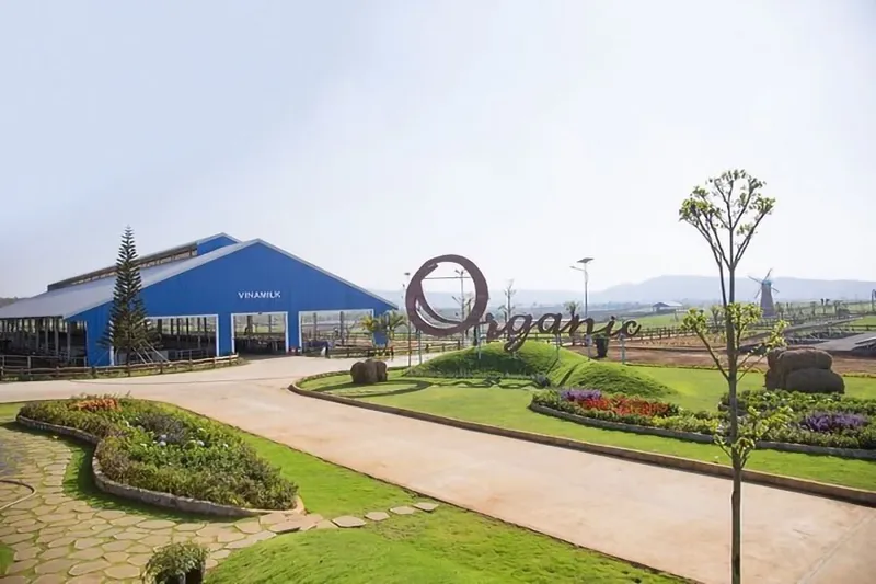 Sản phẩm tran trai vinamilk — Quạt Công Nghiệp Greentec Việt Nam - Công Ty TNHH Greentec Việt Nam — MST 0106937089