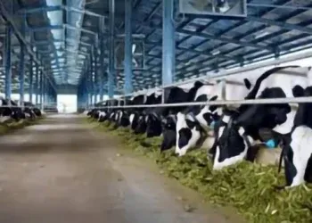 Sản phẩm trang trai bo sua 350x250 — Quạt Công Nghiệp Greentec Việt Nam - Công Ty TNHH Greentec Việt Nam — MST 0106937089
