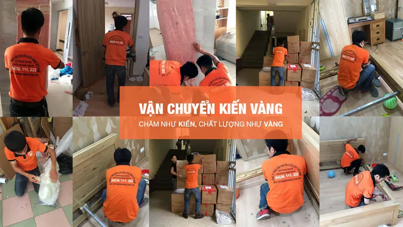 Sản phẩm van chuyen kien vang cham nhu kien chat luong nhu vang — Vận Chuyển Kiến Vàng - Công Ty TNHH Vận Chuyển Kiến Vàng Việt Nam — MST 0106942699