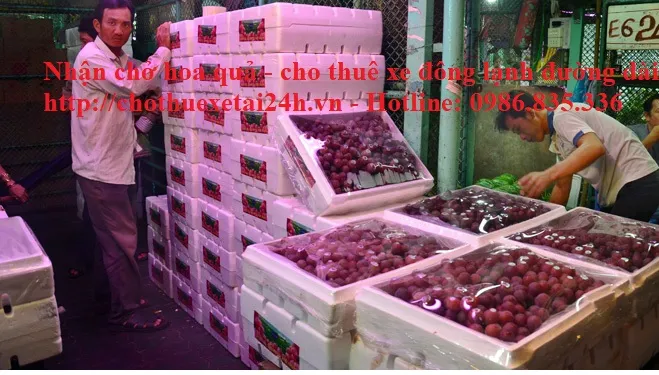 Sản phẩm cho hoa qua xe dong llanh — Cho Thuê Xe Quang Minh - Công Ty TNHH Vận Tải Và Du Lịch Quang Minh Hà Nội — MST 0106951911