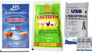 Sản phẩm tt03 300x185 — Bao Bì PKG Việt Nam - Công Ty TNHH Xuất Nhập Khẩu PKG Việt Nam — MST 0107001221