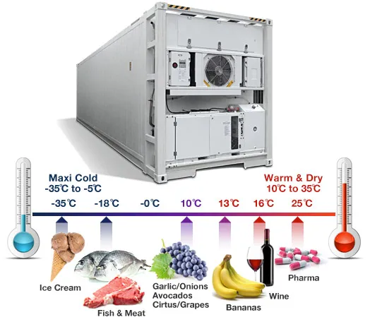 Sản phẩm Refrigerated cargo — Công Ty CP Tiếp Vận Toàn Cầu SM Việt Nam — MST 0107001278