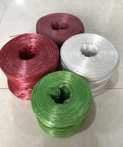 Sản phẩm day buoc nilon 1 min 247x296 — Công Ty TNHH Sản Xuất Và Thương Mại QTS — MST 0107003701