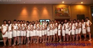 Sản phẩm ĐPPG 8 300x157 — Công Ty TNHH Thời Trang ánh Dương — MST 0107004448