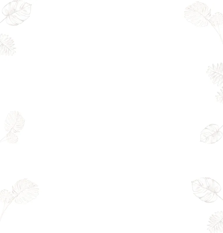 Sản phẩm bg — Công Ty TNHH Công Nghệ Bao Bì Thịnh Phát — MST 0107009333