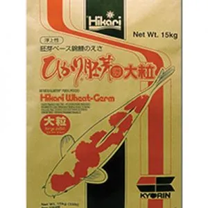 Sản phẩm thuc an cho ca koi nhat ban saki hikari wheat germ 300x300 — Công Ty CP Kiến Trúc Xây Dựng Và Thương Mại ASVN — MST 0107011999