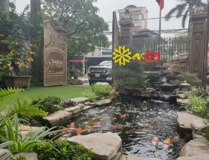 Sản phẩm ho koi 20m3 biet thu dong anh ha noi 300x230 — Công Ty CP Kiến Trúc Xây Dựng Và Thương Mại ASVN — MST 0107011999