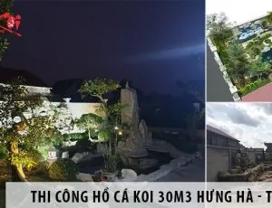 Sản phẩm du an thi cong ho ca koi 30m3 hung ha thai binh 300x230 — Công Ty CP Kiến Trúc Xây Dựng Và Thương Mại ASVN — MST 0107011999