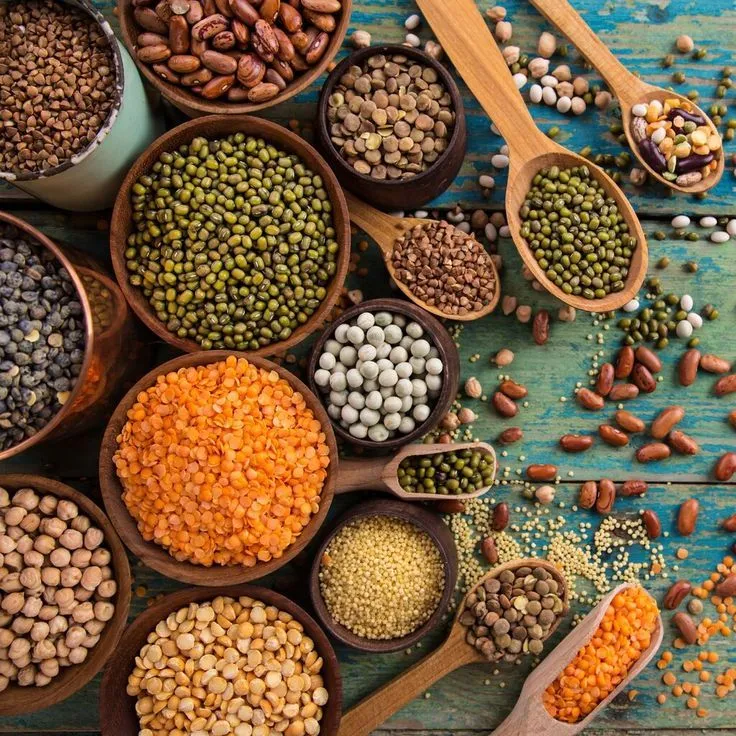 Sản phẩm pulses — Nguyên Phụ Liệu Thực Phẩm Numeco - Công Ty TNHH Numeco — MST 0107024927