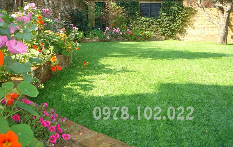 Sản phẩm 1564731423co nhan tao ngoai that — Cỏ Nhân Tạo Cao Nguyễn - Công Ty TNHH Đầu Tư Và Thương Mại Cao Nguyễn — MST 0107072374