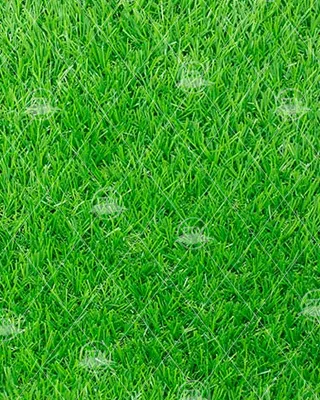 Sản phẩm Cung cap co nhan tao — Cỏ Nhân Tạo Cao Nguyễn - Công Ty TNHH Đầu Tư Và Thương Mại Cao Nguyễn — MST 0107072374