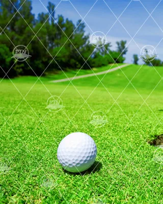 Sản phẩm Thi cong san golf — Cỏ Nhân Tạo Cao Nguyễn - Công Ty TNHH Đầu Tư Và Thương Mại Cao Nguyễn — MST 0107072374