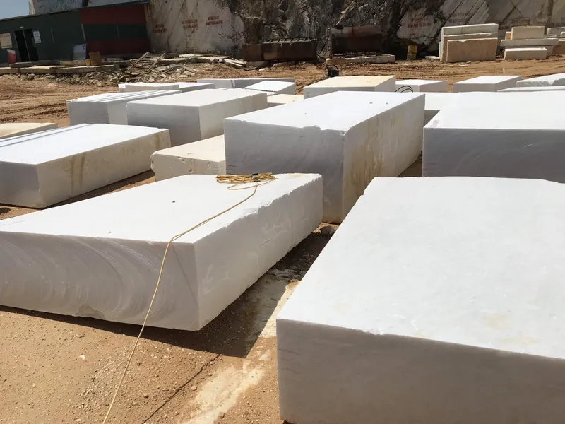 Sản phẩm z2487503670543_b842c9a7014b9dae9c3bf02c96d8faf8 scaled — Công Ty Cổ Phần Đầu Tư Và Phát Triển Nhựa Gỗ Châu Âu — MST 0107094917