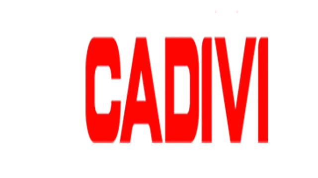 Sản phẩm day cap dien cadivi — Dây Cáp Điện BK Vina - Công Ty CP Công Nghiệp BK Vina — MST 0107097805
