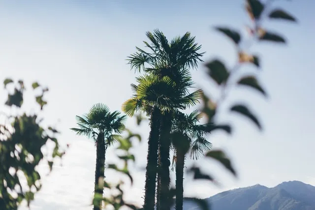 Sản phẩm fabian enzensperger JPvJrNqtzJU unsplash — Công Ty TNHH DV TM Đầu Tư và XNK Hùng Phát — MST 0107104890