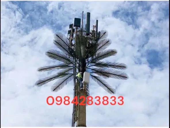 Sản phẩm z6204252783807_2c279f3e4612fe168d16ad5793c1deab — Công Ty TNHH Thương Mại Và Xây Dựng Đại Thịnh Phú — MST 0107127672