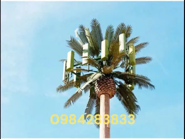 Sản phẩm z6204252861155_06a9d34b61267ed8c2c4a7e05f3d5fc3 — Công Ty TNHH Thương Mại Và Xây Dựng Đại Thịnh Phú — MST 0107127672