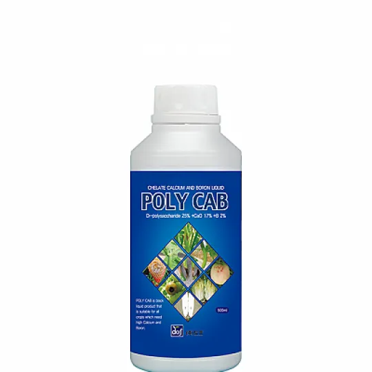 Sản phẩm poly_1575430768 — Công ty TNHH Eco Footprint — MST 0107128193