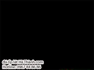 Sản phẩm da granite den anh kim 300x225 — Công Ty TNHH Đá Ốp Lát Hà Thành — MST 0107151523
