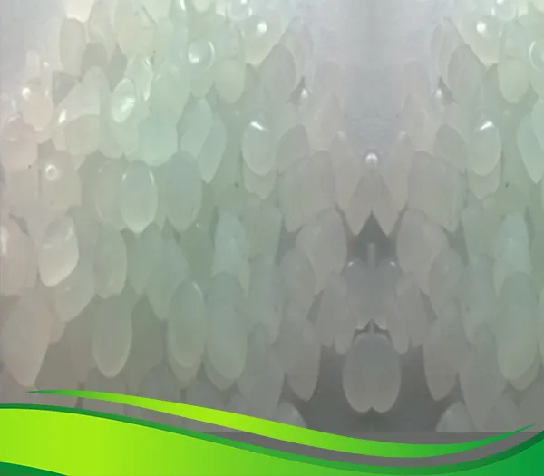 Sản phẩm hat chong truot — Phụ Gia Ngành Nhựa Chempo - Công Ty Cổ Phần Chempo — MST 0107168975