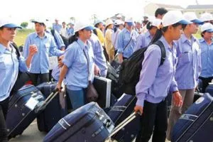 Sản phẩm tintuc ldvn 02 300x200 — Công Ty CP Phát Triển Giáo Dục Và Nhân Lực Quốc Tế Bình Minh — MST 0107202672