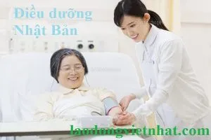 Sản phẩm co nen di xkld dieu duong nhat ban hay khong 300x200 — Công Ty CP Phát Triển Giáo Dục Và Nhân Lực Quốc Tế Bình Minh — MST 0107202672
