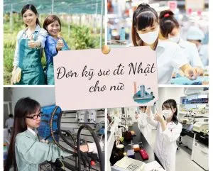 Sản phẩm Screenshot 2024 04 16 143347 300x241 — Công Ty CP Phát Triển Giáo Dục Và Nhân Lực Quốc Tế Bình Minh — MST 0107202672
