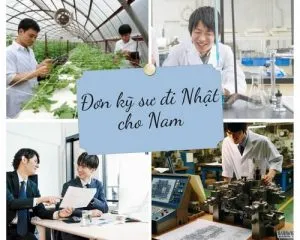 Sản phẩm Đơn kỹ sư đi Nhật cho nữ 1 300x240 — Công Ty CP Phát Triển Giáo Dục Và Nhân Lực Quốc Tế Bình Minh — MST 0107202672