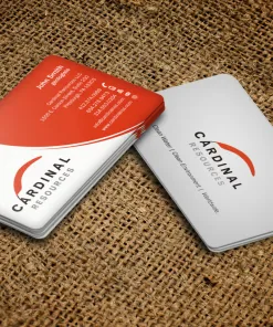 Sản phẩm thiet ke card visit dep 2 247x296 — In De Charme Việt - Công Ty TNHH In De Charme Việt — MST 0107252176